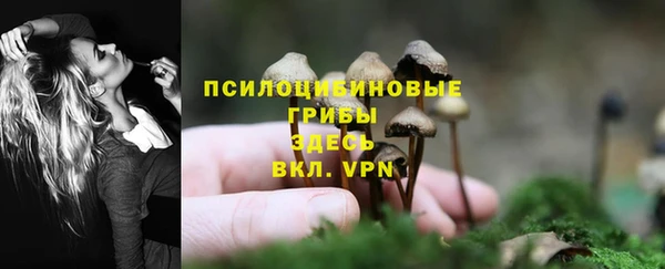 винт Михайлов