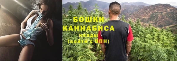 крисы Медногорск