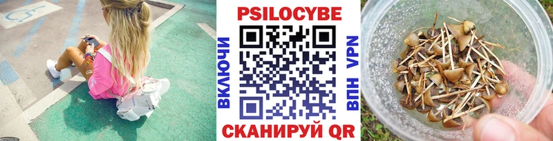 Галлюциногенные грибы прущие грибы  как найти   Нюрба 